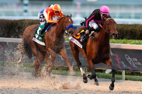 Pegasus World Cup Field, Odds And 2024 Race Day Picks At